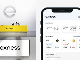 Start Trading With Exness A Comprehensive Guide for Beginners Start Trading With Exness A Comprehensive Guide for Beginners