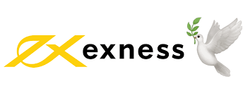 Understanding the Exness Trading Account